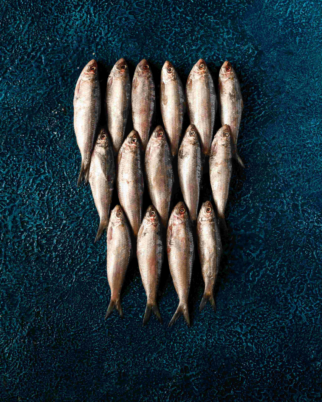 Seafood