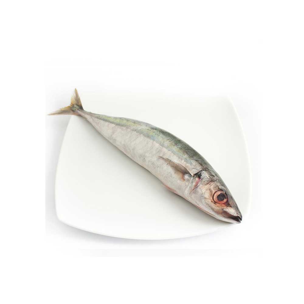 Seafood