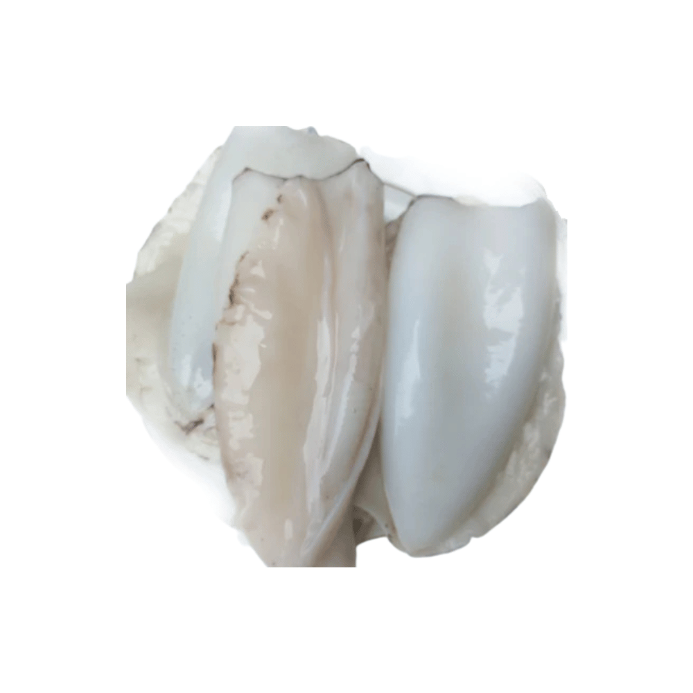 Cuttlefish-Cleaned.png Cuttlefish Cleaned - Image 1