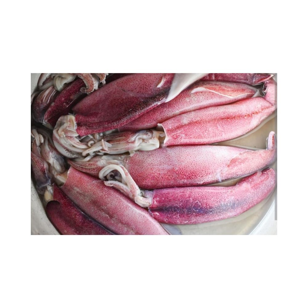 Cuttlefish (Without Clean) Cuttlefish (Without Clean) - Image 1