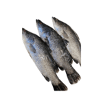 Koduwa
