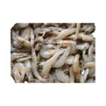 Prawns – Small
