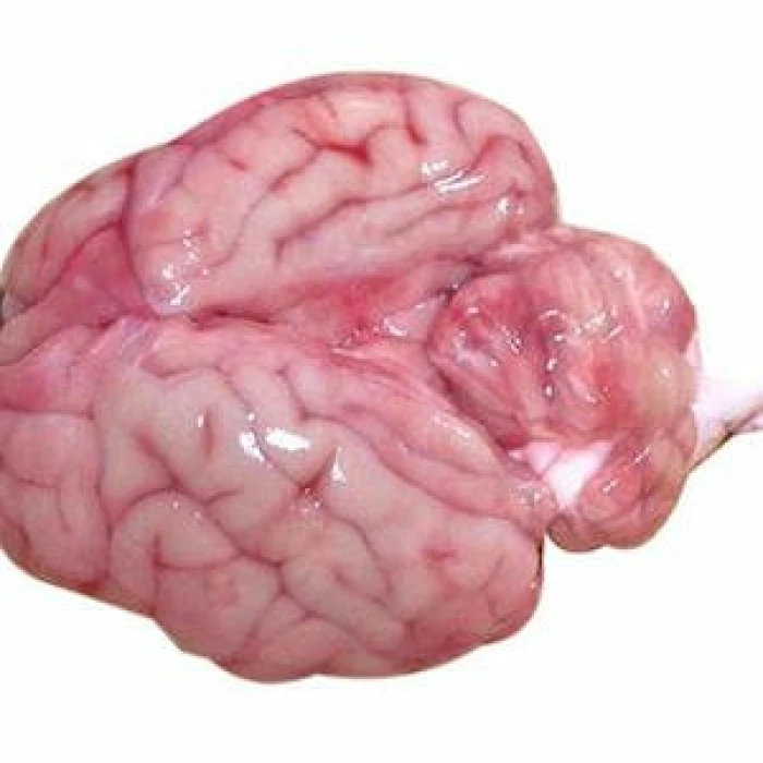 Beef Brain (1 No.) Beef Brain (1 No.)